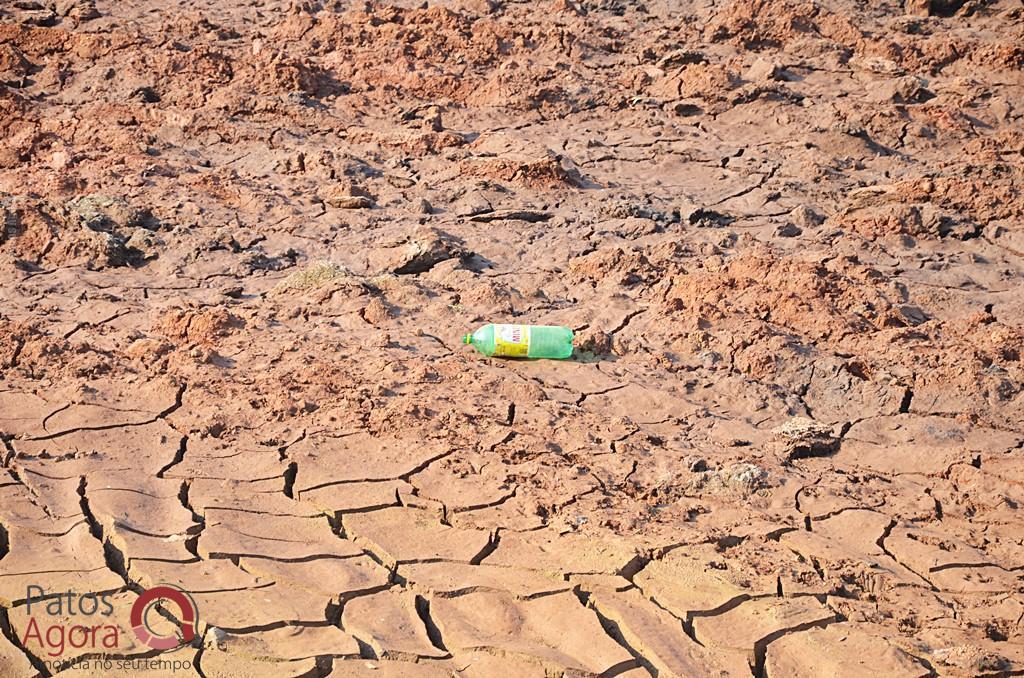 Cágados não retirados da Lagoa Grande sofrem com ambiente seco e atropelamentos | Patos Agora - A notícia no seu tempo - https://patosagora.net