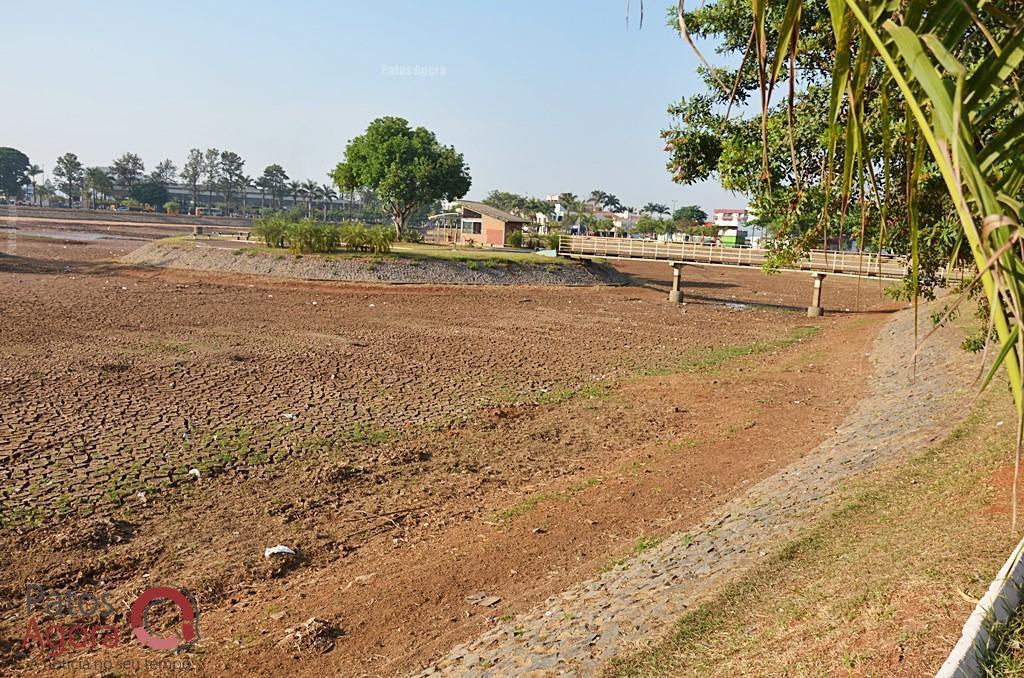 Cágados não retirados da Lagoa Grande sofrem com ambiente seco e atropelamentos | Patos Agora - A notícia no seu tempo - https://patosagora.net