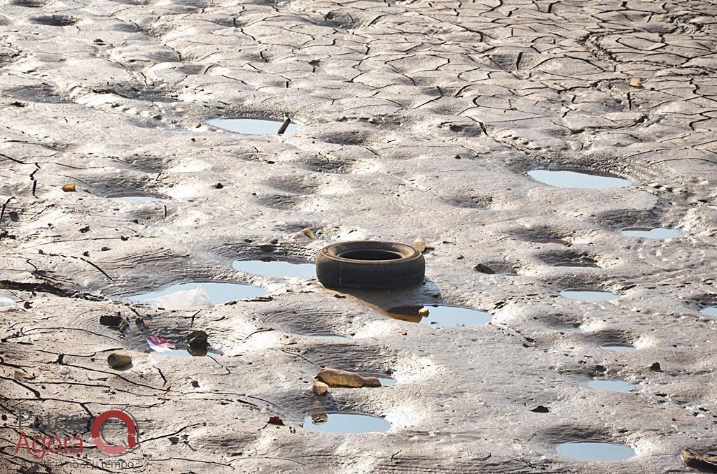 Cágados não retirados da Lagoa Grande sofrem com ambiente seco e atropelamentos | Patos Agora - A notícia no seu tempo - https://patosagora.net