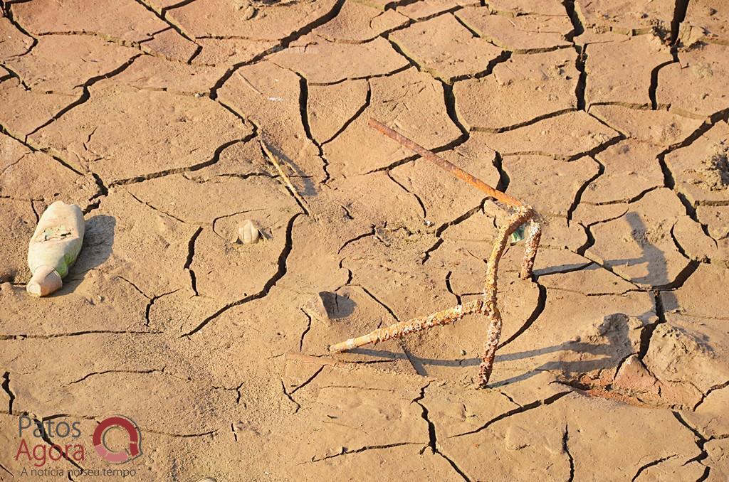 Cágados não retirados da Lagoa Grande sofrem com ambiente seco e atropelamentos | Patos Agora - A notícia no seu tempo - https://patosagora.net