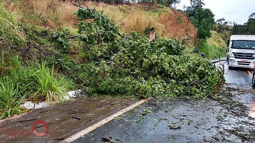 Acidente  grave envolvendo  três veículos com uma vítima fatal na MGC-354 entre Patos de Minas  e Presidente  Olegário. | Patos Agora - A notícia no seu tempo - https://patosagora.net