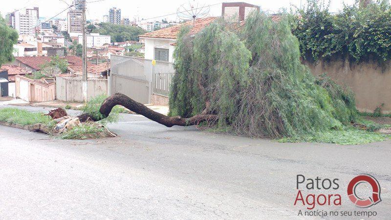 Forte chuva com granizo cai em Patos de Minas e causa estragos em vários pontos da cidade | Patos Agora - A notícia no seu tempo - https://patosagora.net
