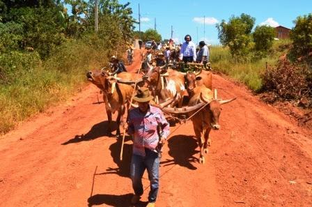 Feed do PatosAgora | Patos Agora - A notícia no seu tempo - https://patosagora.net