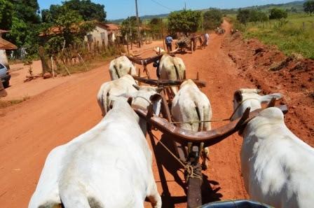 Feed do PatosAgora | Patos Agora - A notícia no seu tempo - https://patosagora.net