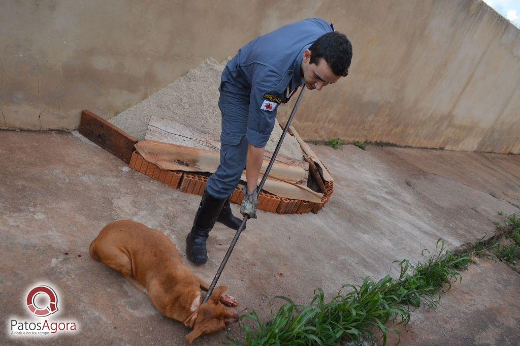 Feed do PatosAgora | Patos Agora - A notícia no seu tempo - https://patosagora.net