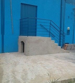 Empresária aproveita escada para construir casa para cachorros de rua | Patos Agora - A notícia no seu tempo - https://patosagora.net