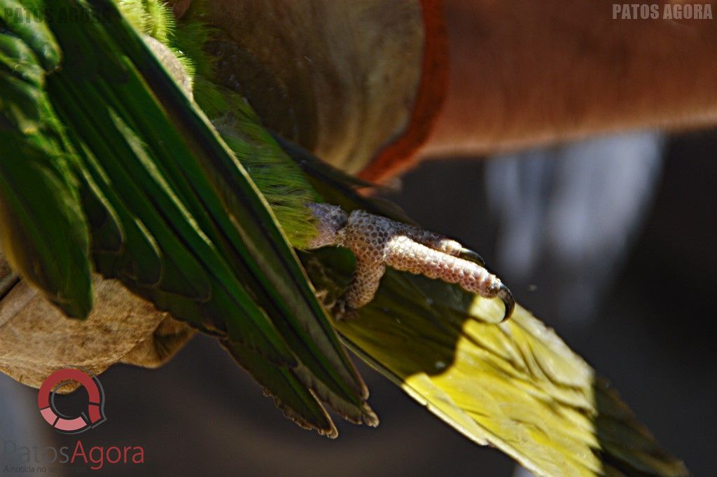 Feed do PatosAgora | Patos Agora - A notícia no seu tempo - https://patosagora.net