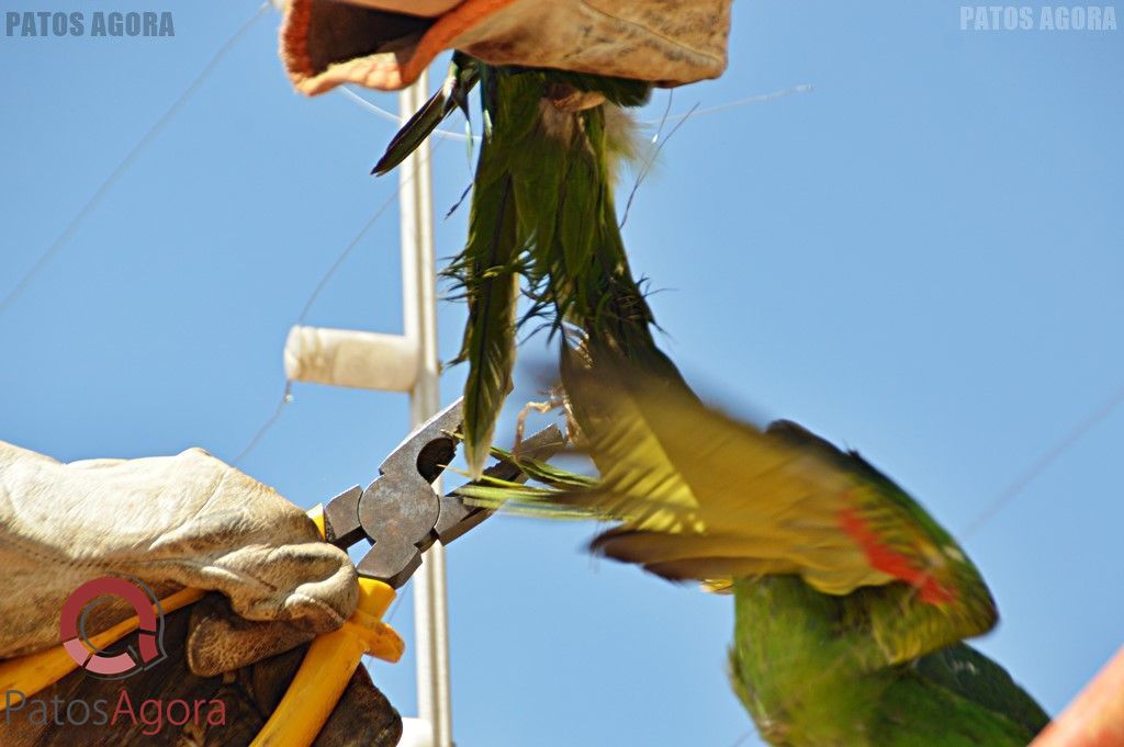 Feed do PatosAgora | Patos Agora - A notícia no seu tempo - https://patosagora.net