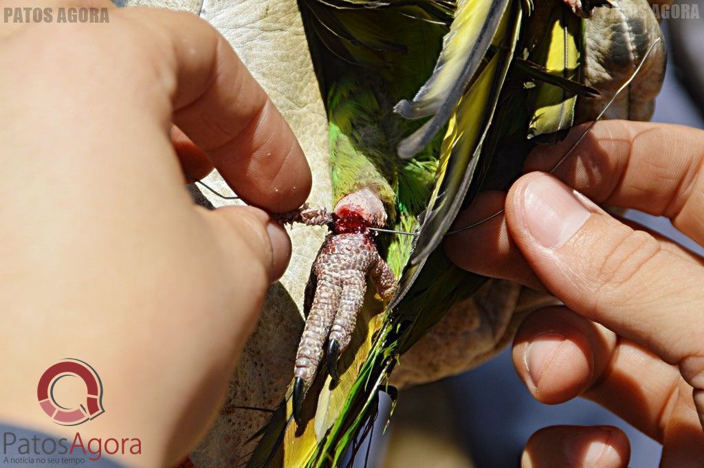 Feed do PatosAgora | Patos Agora - A notícia no seu tempo - https://patosagora.net