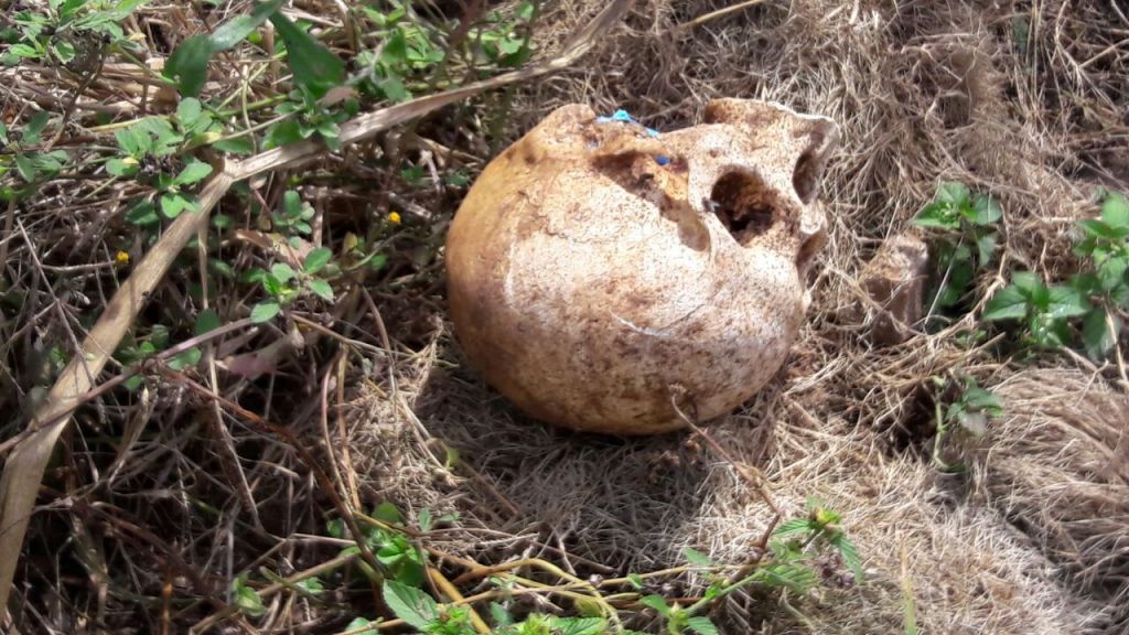 Crânio humano é encontrado em lote no bairro Santa Luzia | Patos Agora - A notícia no seu tempo - https://patosagora.net