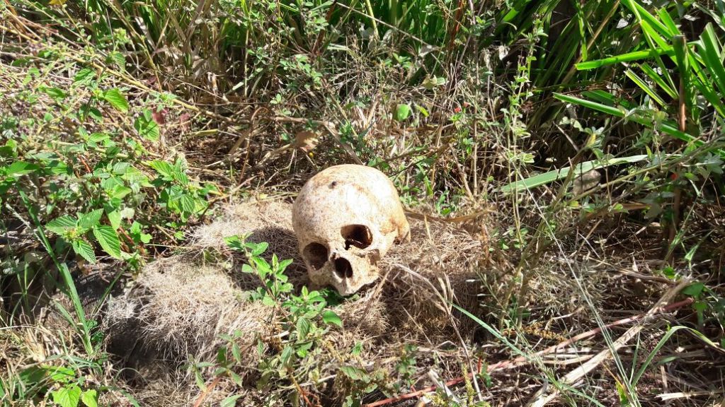 Crânio humano é encontrado em lote no bairro Santa Luzia | Patos Agora - A notícia no seu tempo - https://patosagora.net