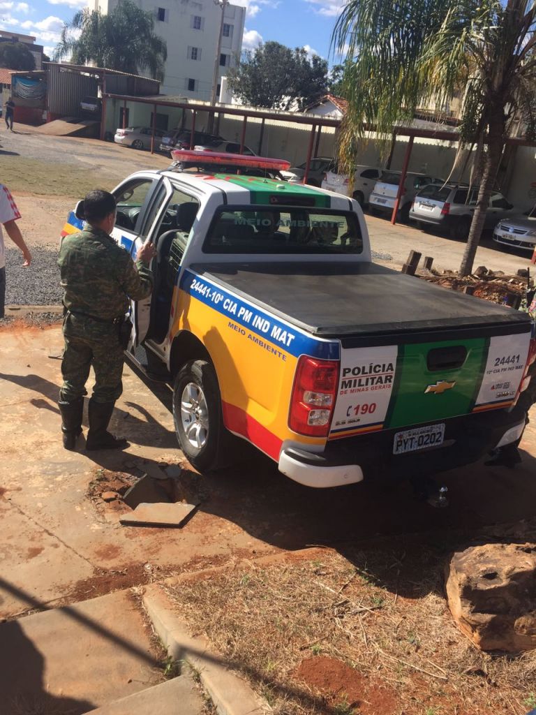 Raposa é capturada dentro de estacionamento no centro de Patos de Minas. | Patos Agora - A notícia no seu tempo - https://patosagora.net