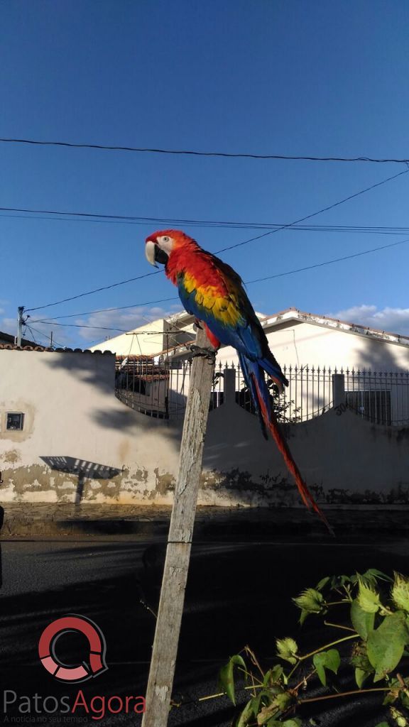 Feed do PatosAgora | Patos Agora - A notícia no seu tempo - https://patosagora.net