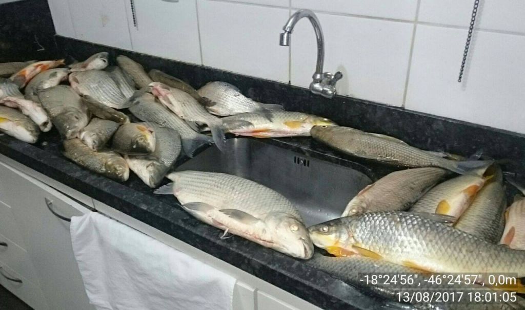 Pescadores são detidos com 30kg de peixes do Rio da Prata | Patos Agora - A notícia no seu tempo - https://patosagora.net
