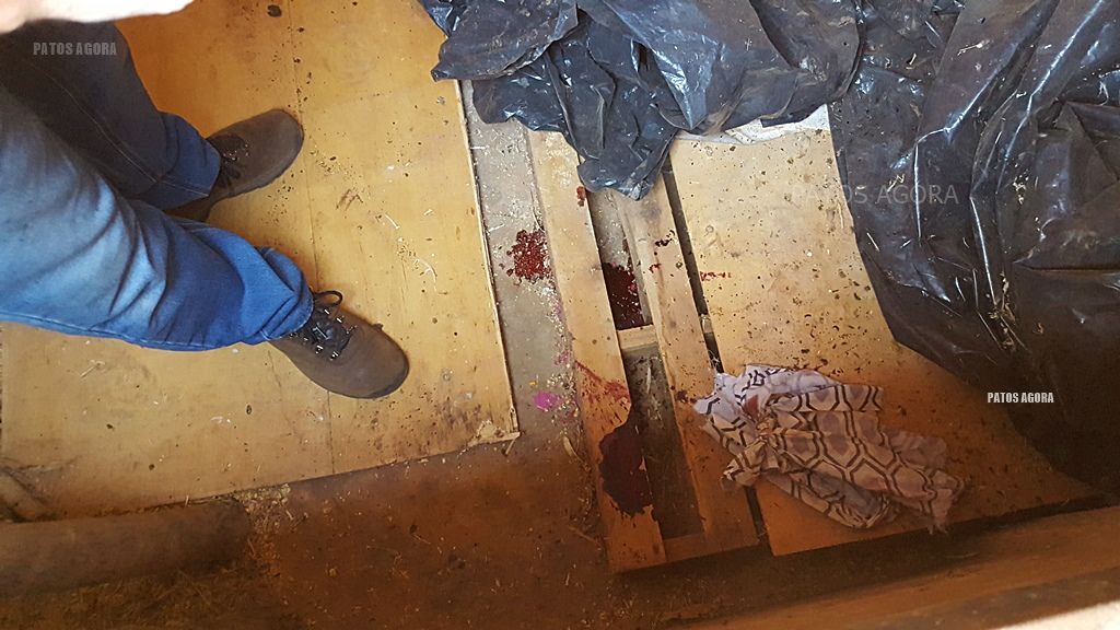 Bandidos invadem fazenda, golpeiam funcionário com machado e fazem proprietário cavar cova | Patos Agora - A notícia no seu tempo - https://patosagora.net