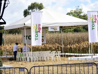 2º Dia de Campo Top Agro | Patos Agora - A notícia no seu tempo - https://patosagora.net