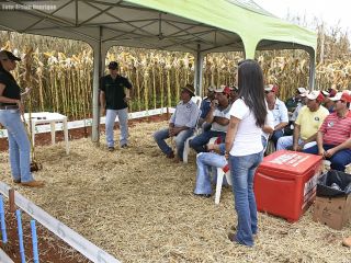 2º Dia de Campo Top Agro - Parte 2 | Patos Agora - A notícia no seu tempo - https://patosagora.net