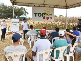 2º Dia de Campo Top Agro - Parte 2 | Patos Agora - A notícia no seu tempo - https://patosagora.net
