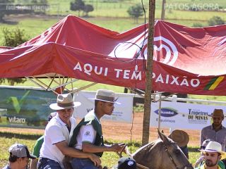 Etapa da copa de marcha do cavalo Mangalarga Marchador aconteceu em Lagoa Formosa | Patos Agora - A notícia no seu tempo - https://patosagora.net