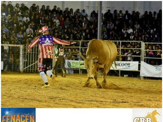 Fenacen 2018:  Campeonato Rodeio Bulls - Parte 2  | Patos Agora - A notícia no seu tempo - https://patosagora.net