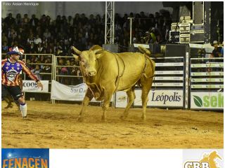 Fenacen 2018:  Campeonato Rodeio Bulls - Parte 2  | Patos Agora - A notícia no seu tempo - https://patosagora.net