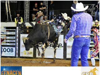 Fenacen 2018: Semi-Final e Campeonato Rodeio Bulls - Parte 2 | Patos Agora - A notícia no seu tempo - https://patosagora.net