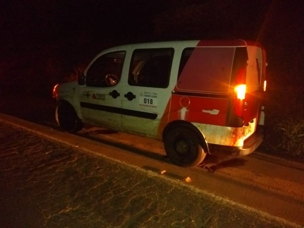 Ambulância de Presidente Olegário atropela e mata cavalo na BR-354  | Patos Agora - A notícia no seu tempo - https://patosagora.net