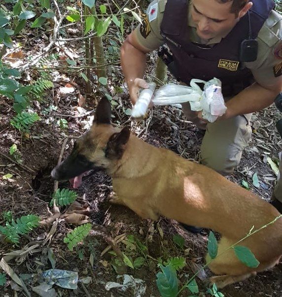 PM localiza muita droga na beira do Rio Paranaíba no bairro Nossa Senhora Aparecida | Patos Agora - A notícia no seu tempo - https://patosagora.net