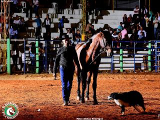Final do Rodeio da Cavalgada Vila Vicentina - Parte 2 | Patos Agora - A notícia no seu tempo - https://patosagora.net
