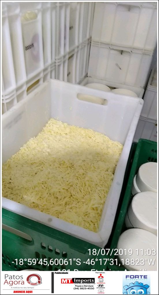 Oito toneladas de queijo são apreendidos e descartados em Carmo do Paranaíba | Patos Agora - A notícia no seu tempo - https://patosagora.net