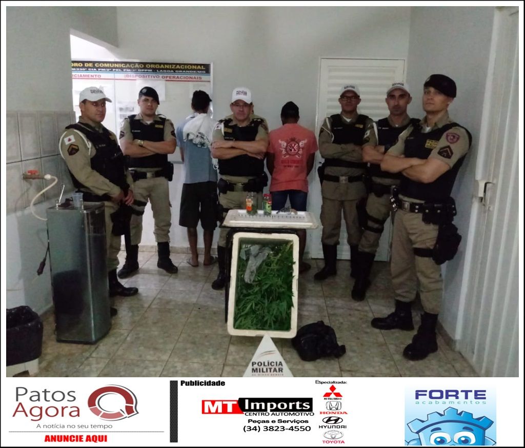 PM prende drogas, armas e munições durante operação em Lagoa Grande | Patos Agora - A notícia no seu tempo - https://patosagora.net