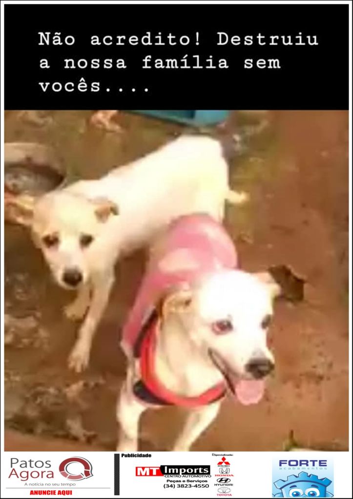 Feed do PatosAgora | Patos Agora - A notícia no seu tempo - https://patosagora.net