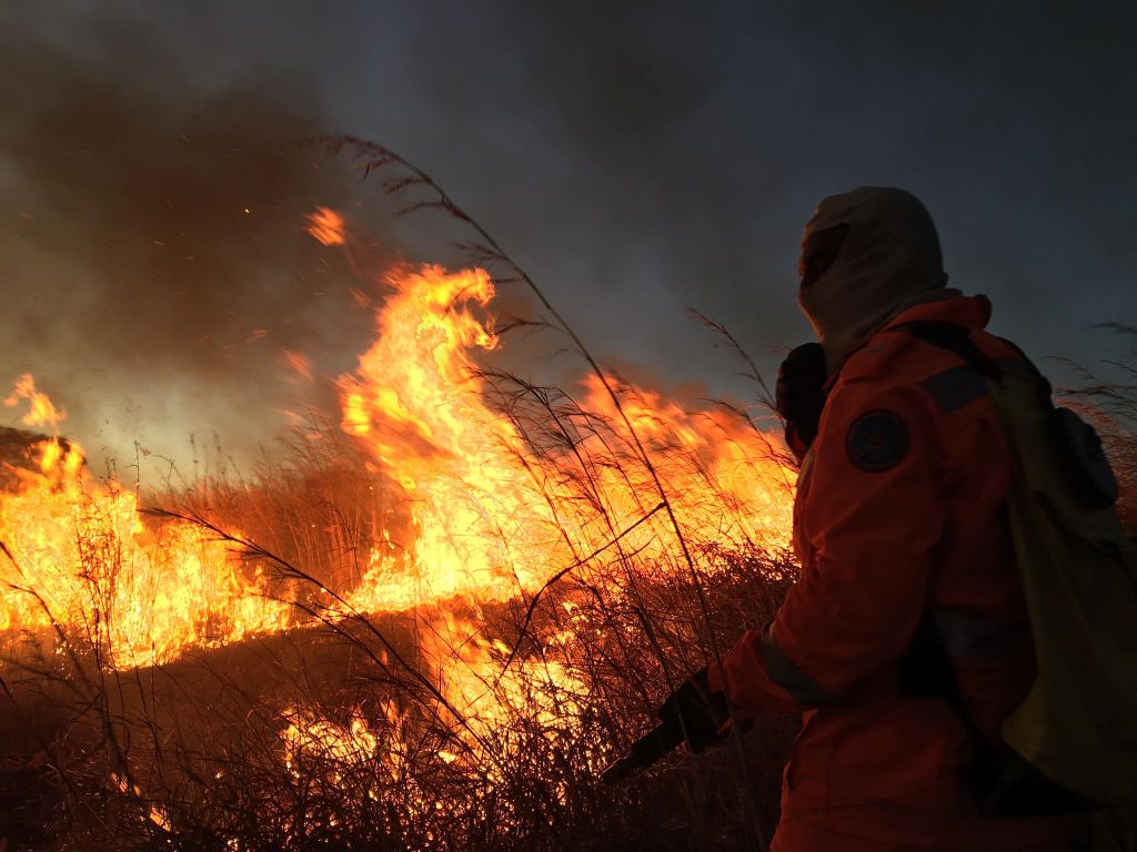 Incêndio atinge pastagem e lavouras de milho e sorgo e Patos de Minas | Patos Agora - A notícia no seu tempo - https://patosagora.net