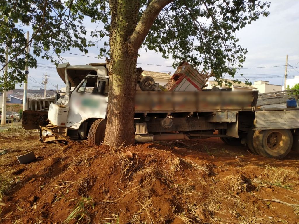 Caminhão desce rua desgovernado e só para ao bater em árvore | Patos Agora - A notícia no seu tempo - https://patosagora.net
