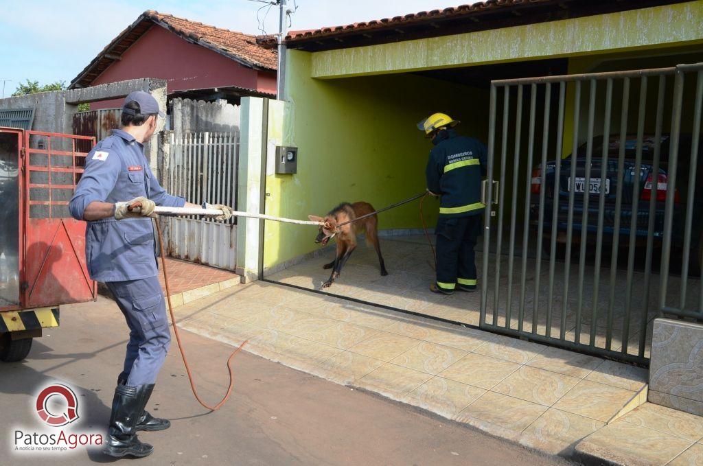 Feed do PatosAgora | Patos Agora - A notícia no seu tempo - https://patosagora.net