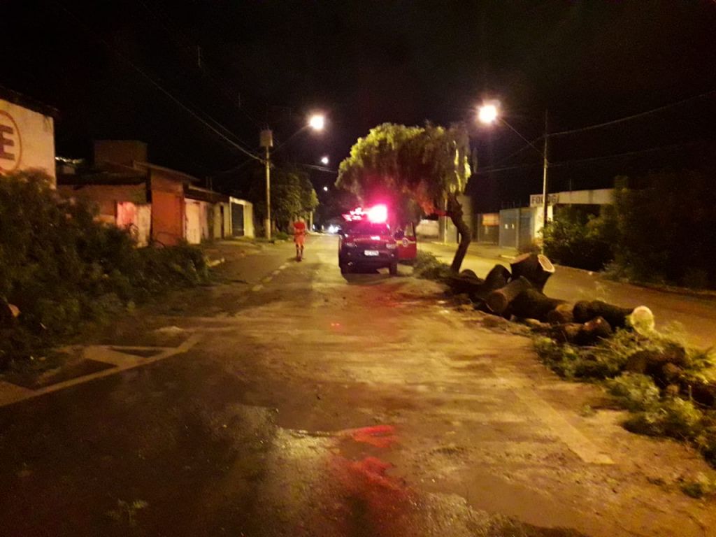 Vendaval em Patos de Minas derruba árvores e provoca danos na rede telefônica | Patos Agora - A notícia no seu tempo - https://patosagora.net