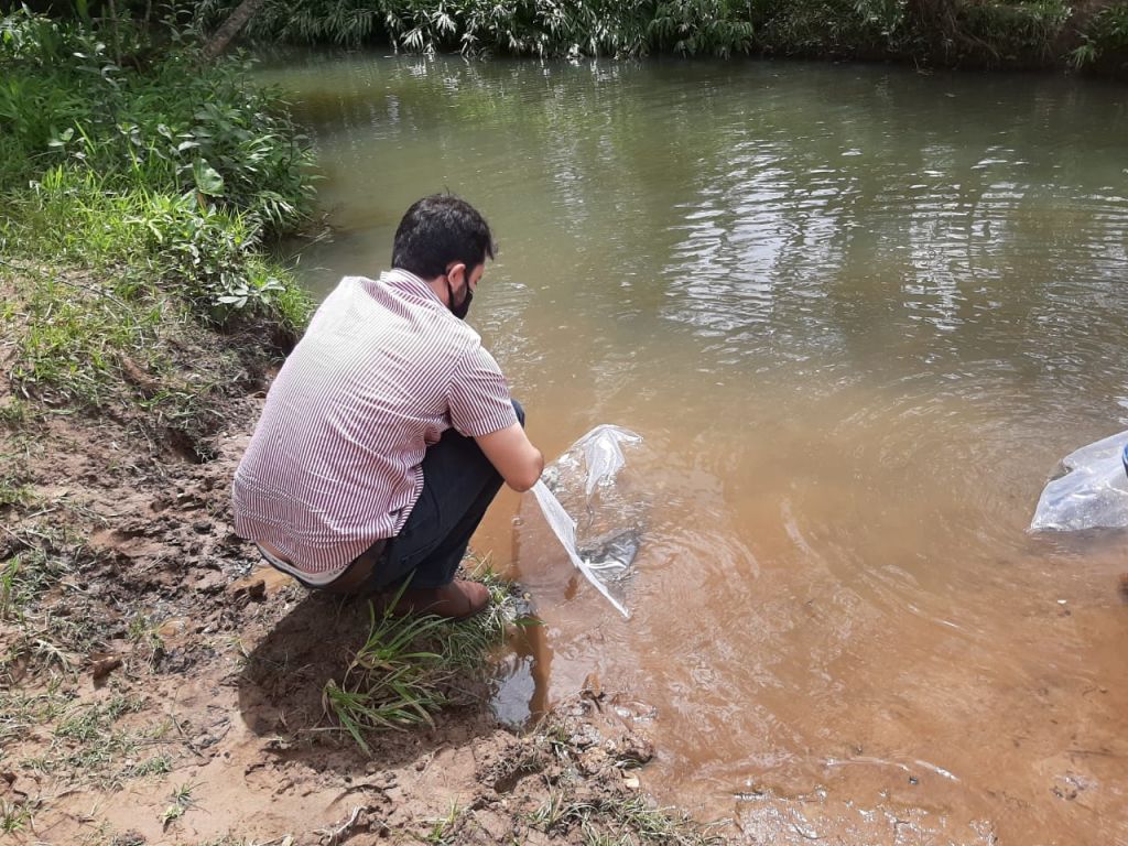 Peixes são soltos nas microbacias do Córrego do Arroz e Córrego do Bauzinho | Patos Agora - A notícia no seu tempo - https://patosagora.net
