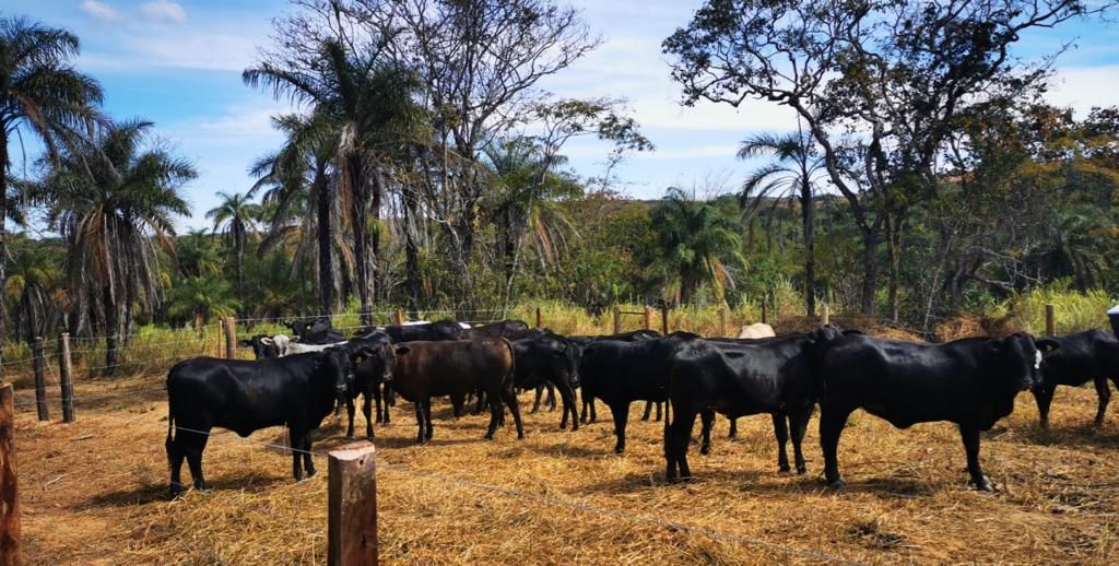 Feed do PatosAgora | Patos Agora - A notícia no seu tempo - https://patosagora.net