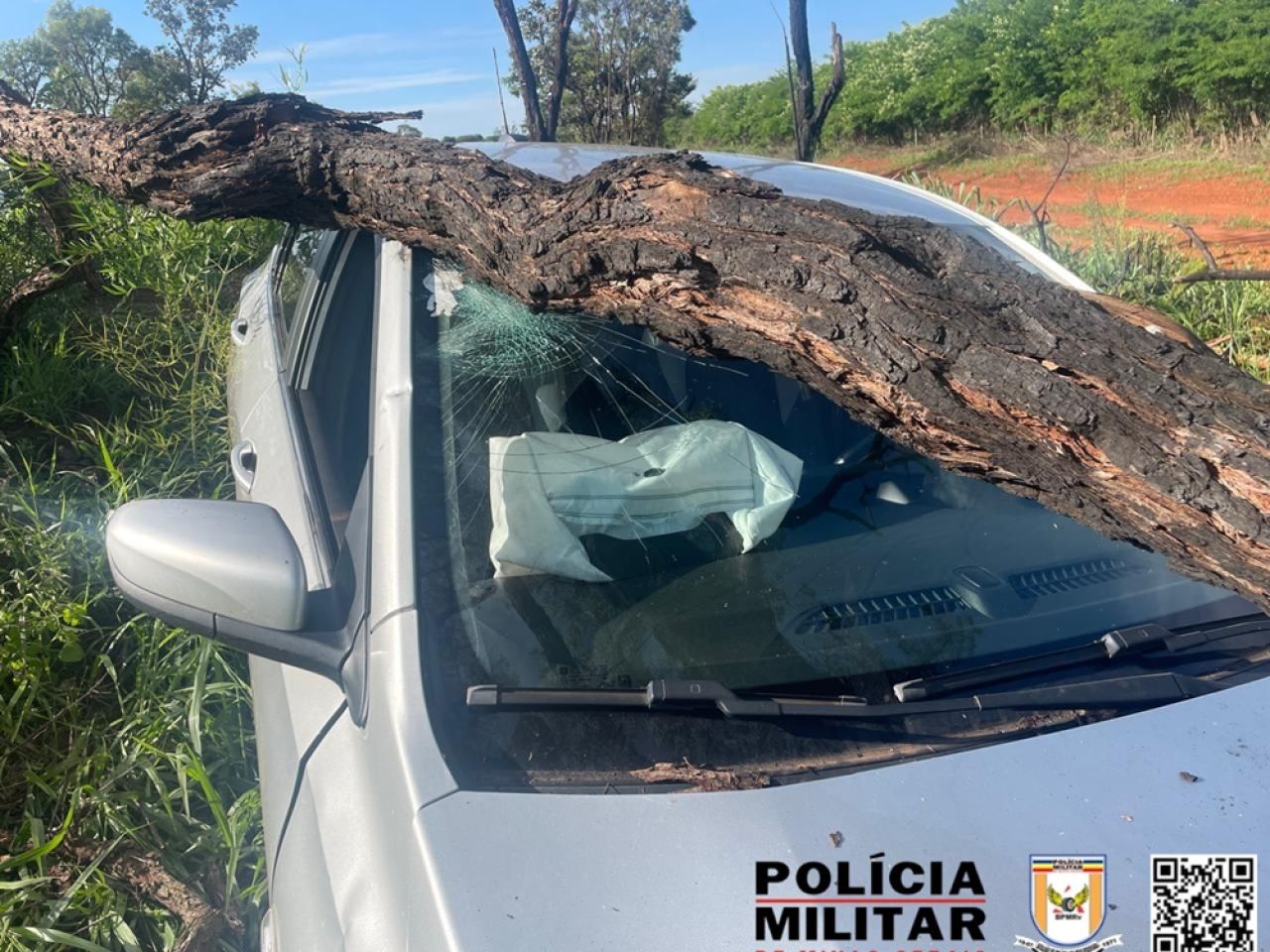 Condutora cochila ao volante e colide com árvore na MG-410 em Presidente Olegário