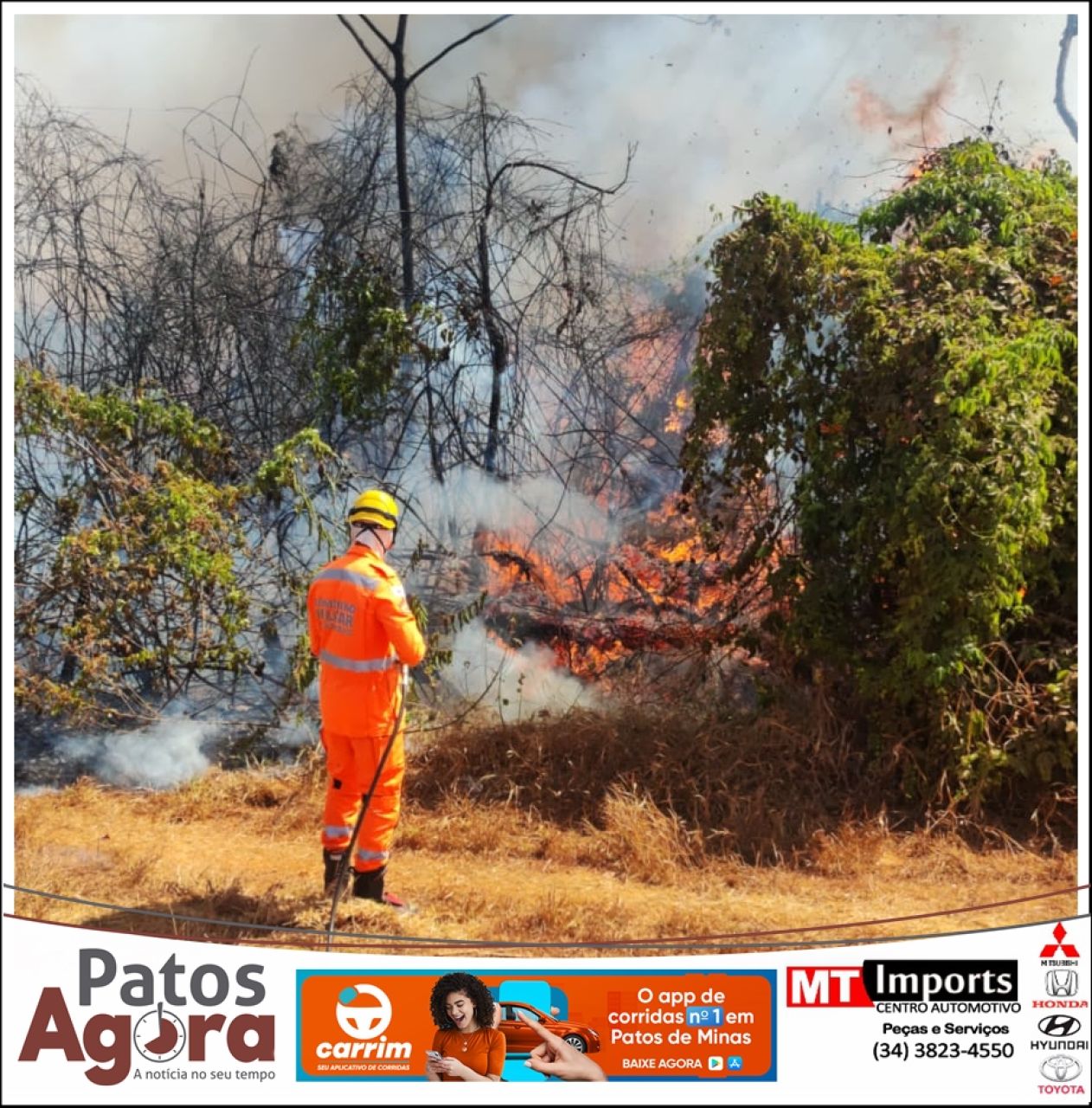 Bombeiros combatem incêndio em fazenda com risco à plantação de café