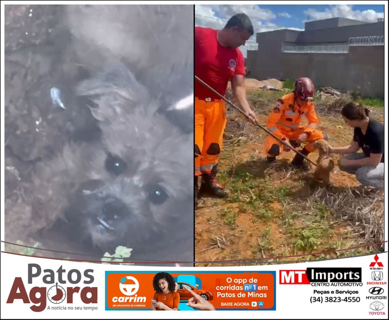 Bombeiros resgatam cão que caiu em buraco de 4 metros em Lagoa Formosa