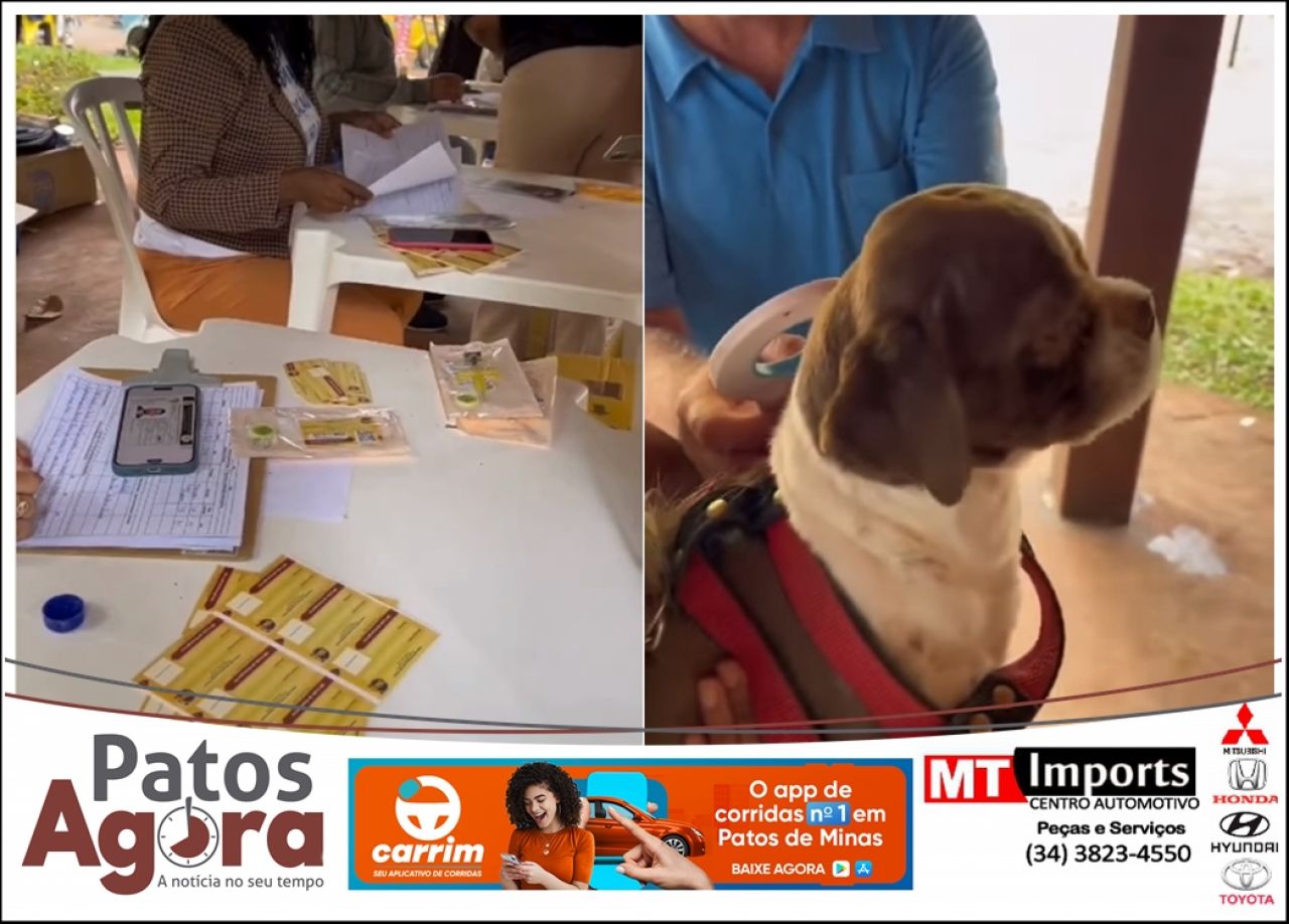 Duzentos cães e gatos receberam microchip gratuita no Parque do Mocambo