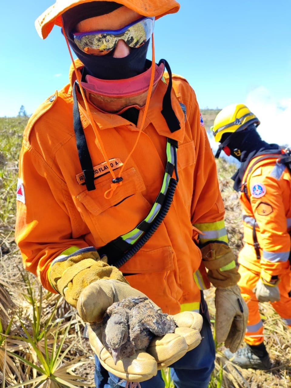 Incêndio consome cerca de 1000 hectares na zona rural de Coromandel