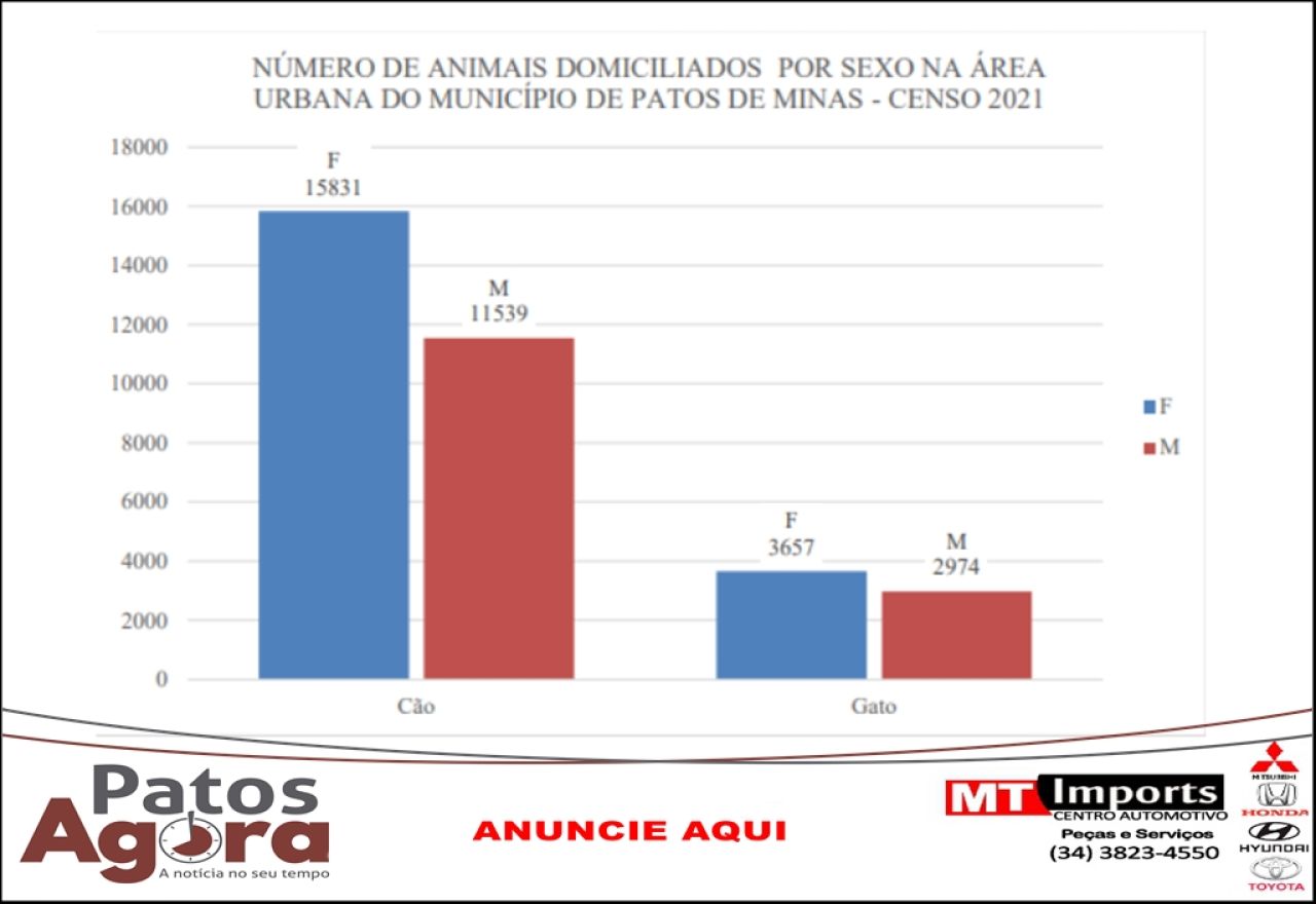 Censo Animal: Patos de Minas tem mais de 44 mil cães e gatos domiciliados