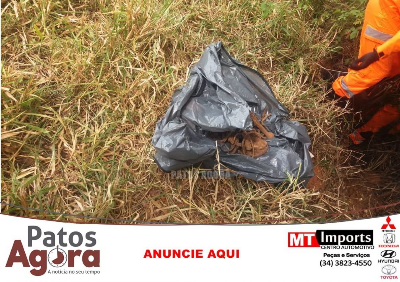 Ossada humana é encontrada às margens da BR-365, em Patos de Minas