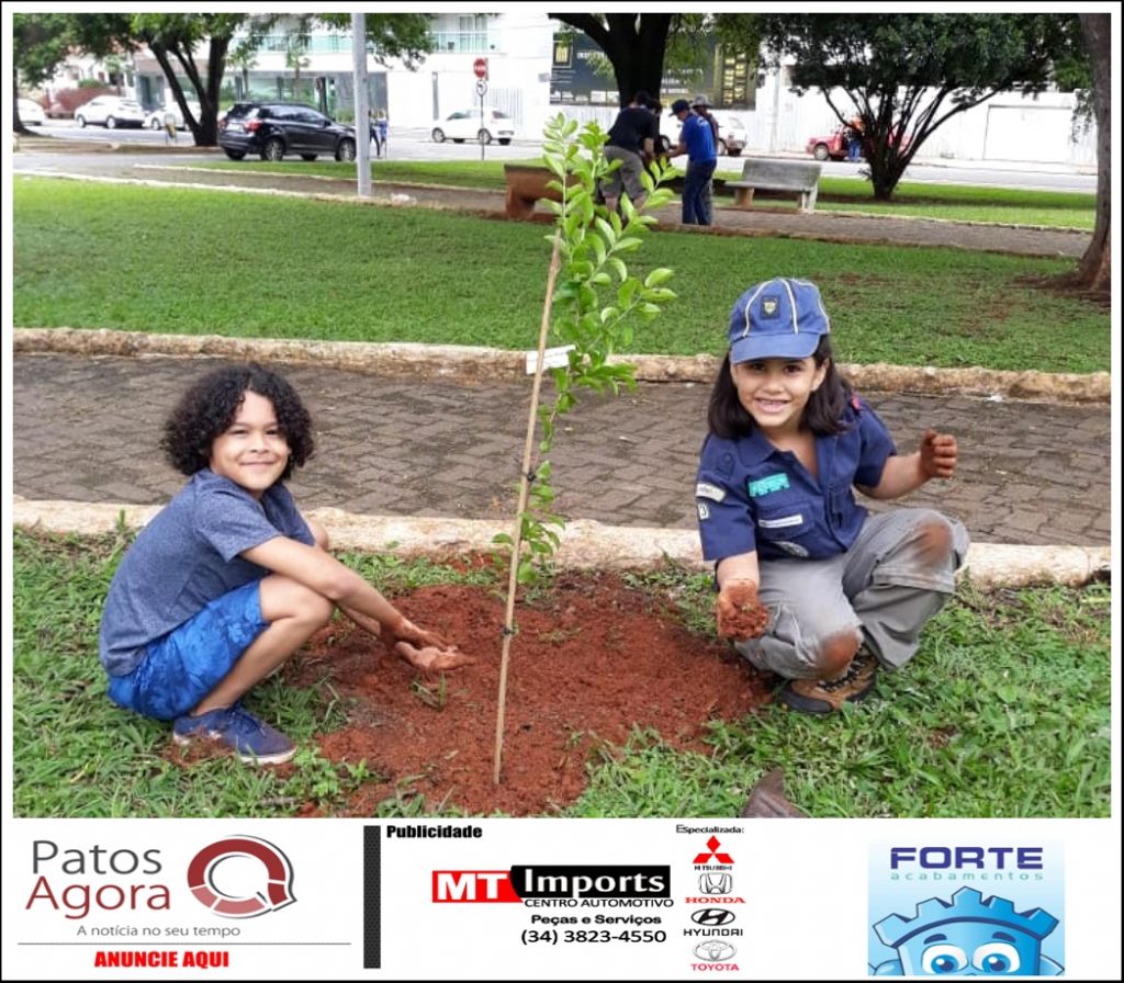 Plantio Global é realizado na Avenida Getúlio Vargas com plantio de mudas de árvores nativas