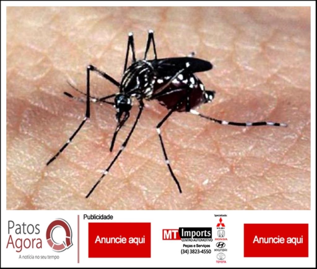 Vírus Zika em Patos de Minas: um caso confirmado e dois suspeitos