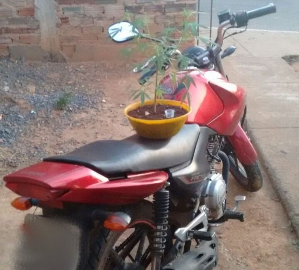 PM localiza motocicleta furtada, pé e bucha de maconha no Bairro Coração Eucarístico