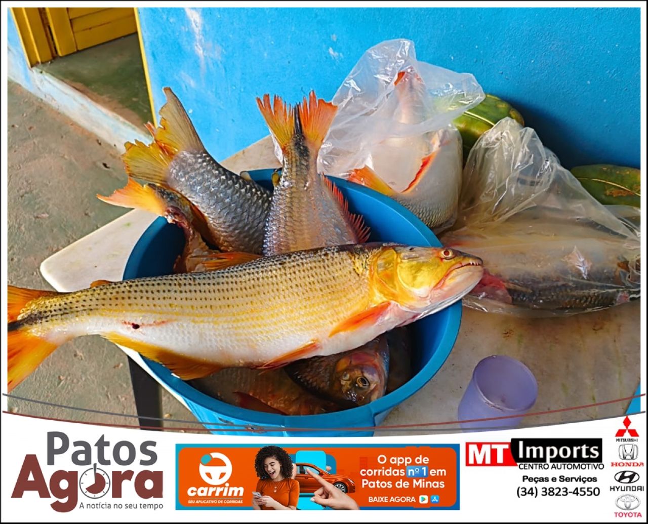 PM de Meio Ambiente apreende 10 kg de pescado e redes em alojamento de draga