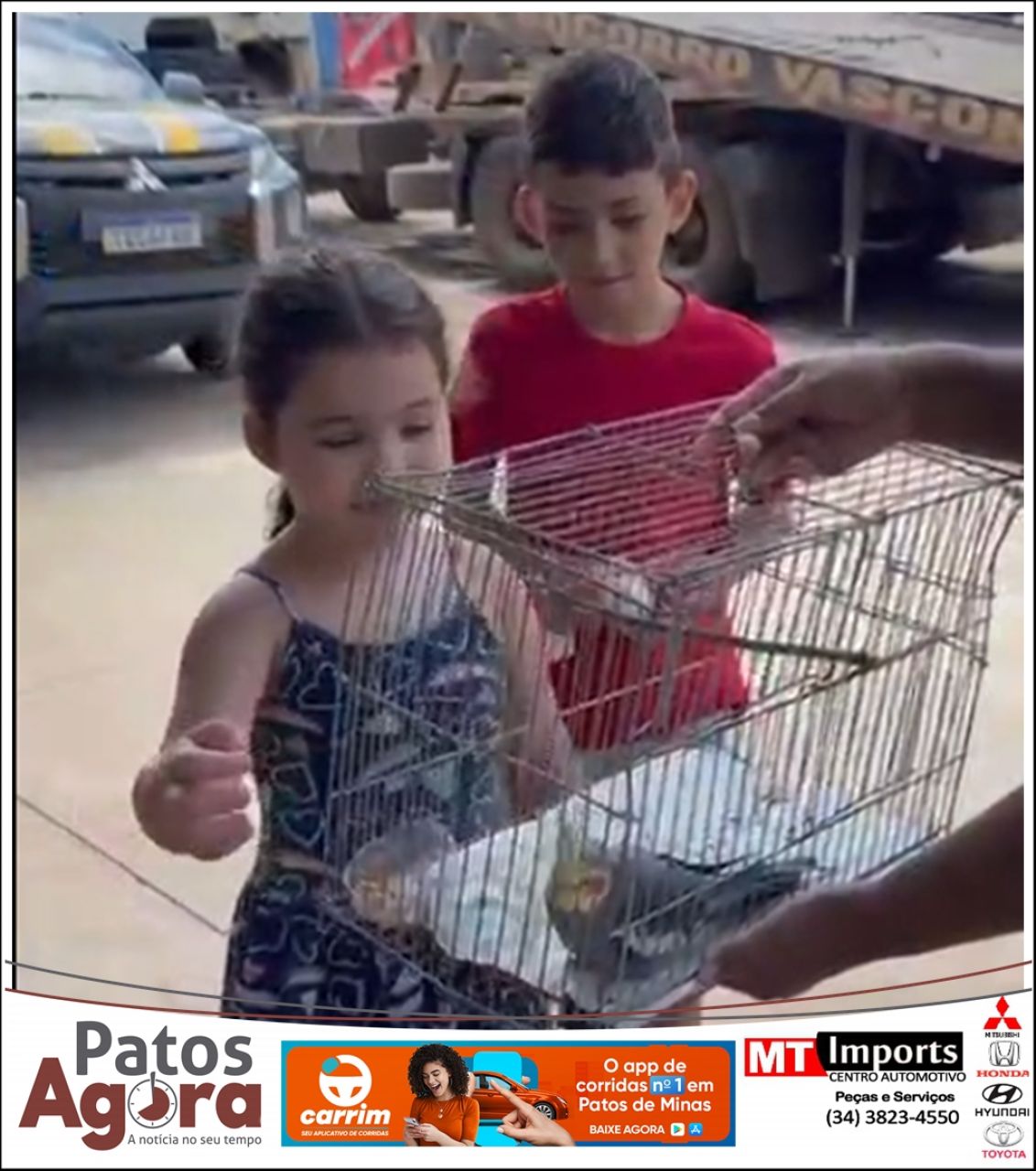 Após trauma em acidente na BR-365, crianças recuperam bicho de estimação dado como morto